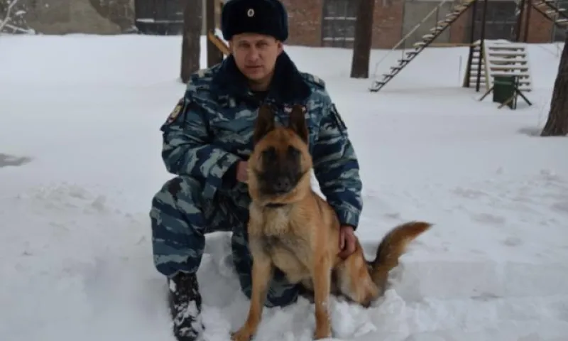 Служебный пёс помог бийским полицейским раскрыть кражу по горячим следам