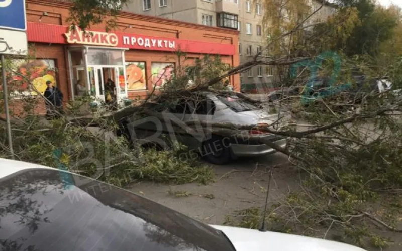 Барнаульцы сообщают о последствиях ураганного ветра