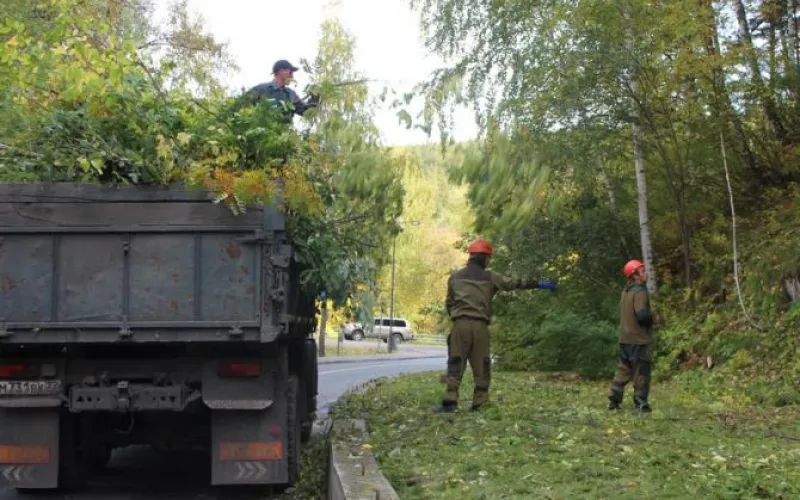 Первый проект на средства курортного сбора реализуют в Алтайском крае