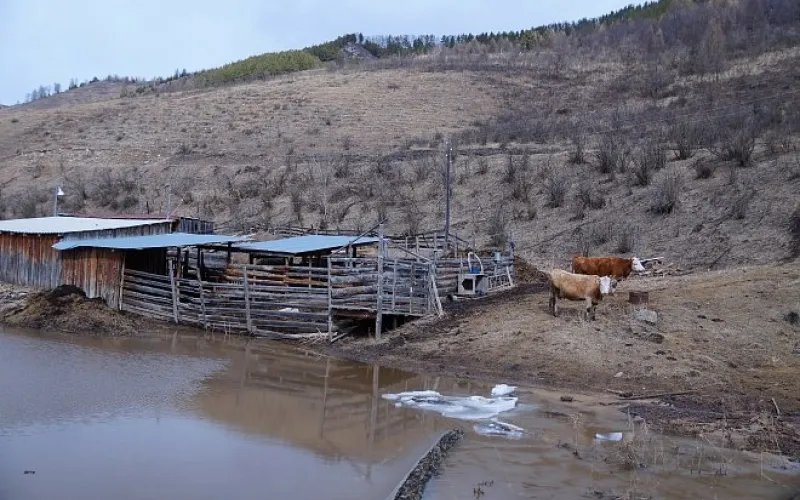 Документы по возмещению ущерба от паводка для АПК Алтайского края отправлены в федеральный центр