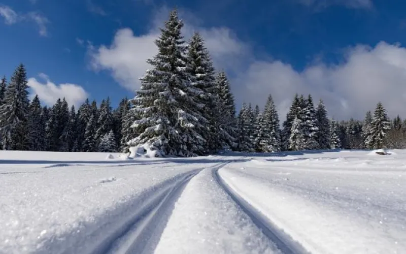 До минус 25: о погоде в Алтайском крае 9 февраля