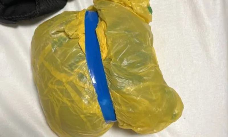 Группа закладчиков из разных регионов попыталась сбыть в Алтайском крае более полукилограмма наркотиков