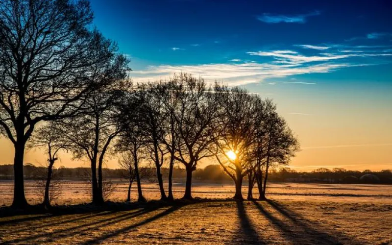 Резкое потепление: о погоде в Алтайском крае 10 января