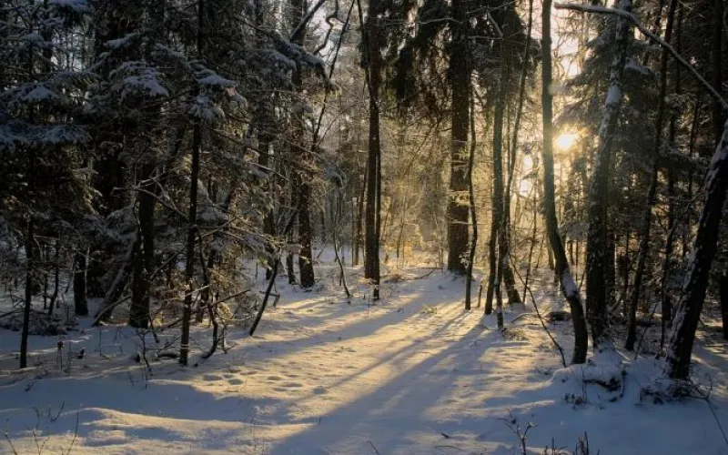 Жителей Алтайского края ждет потепление