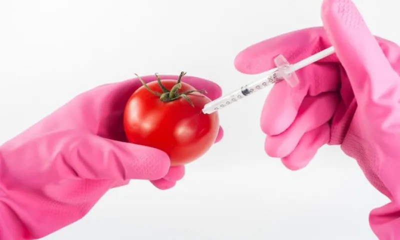 Продукты с ГМО отметят специальным значком в России