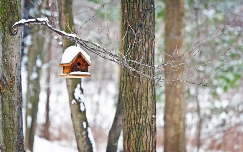 Резко в минус: о погоде 4 января