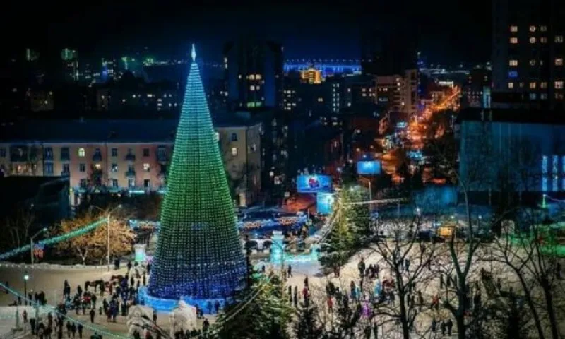 Барнаульцы проголосовали за место для главной новогодней елки