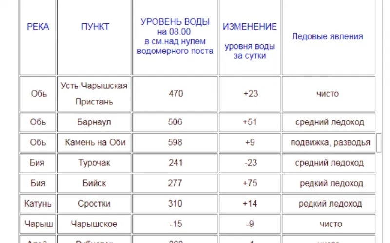 Почти на метр: уровень воды в алтайских реках значительно вырос