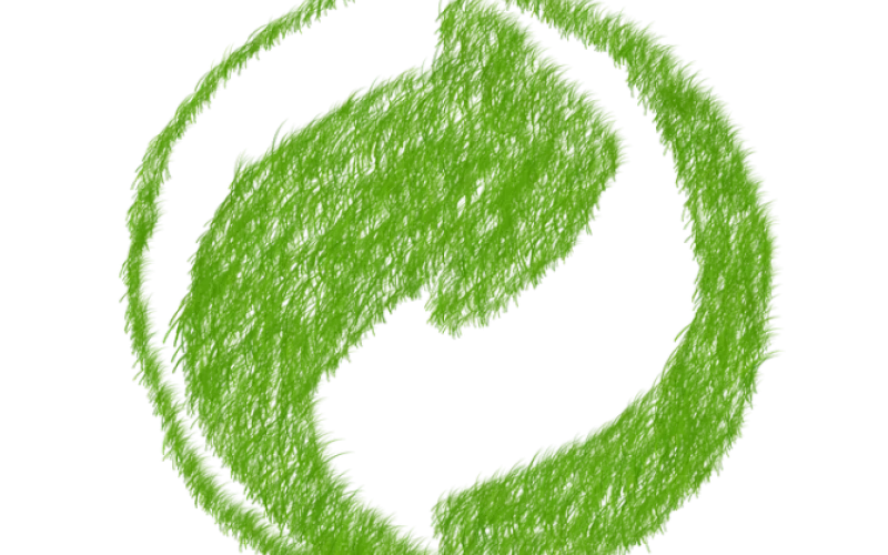 Барнаульцы смогут сдать вторсырьё на переработку 