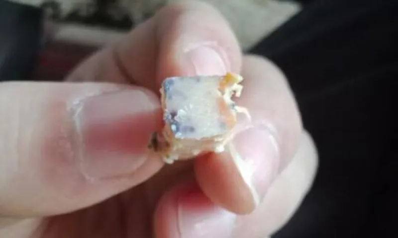Жительница Барнаула купила в ресторане суши с плесенью