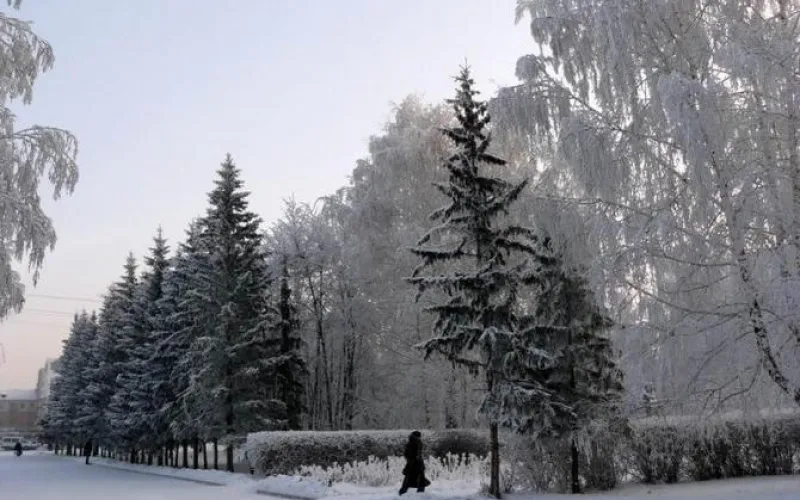 Алтайские синоптики рассказали о погоде до 26 февраля