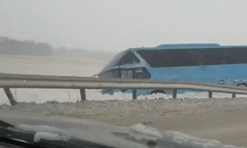 Рейсовый автобус слетел с трассы в Алтайском крае