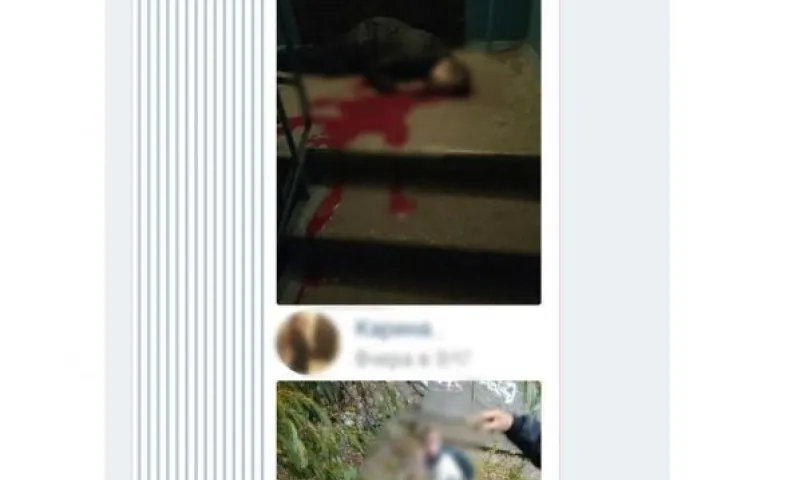 Пользователей социальных сетей запугали сообщениями о приезде в Алтайский край жестокой группировки, которая убивает людей