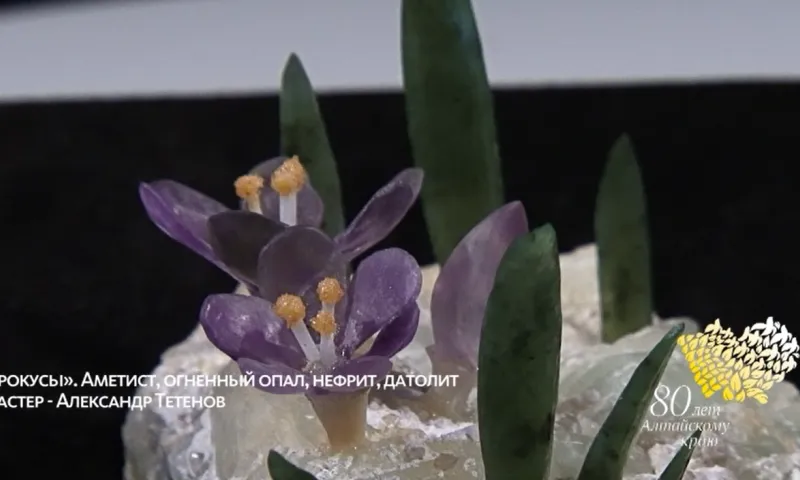 «Музейная редкость» - крокусы