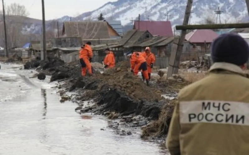 Группировка МЧС увеличена в Алтайском крае из-за подтопления