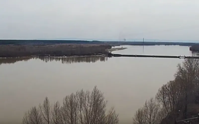 Веб-камеры К24: понтонный мост собирают в Бийске 