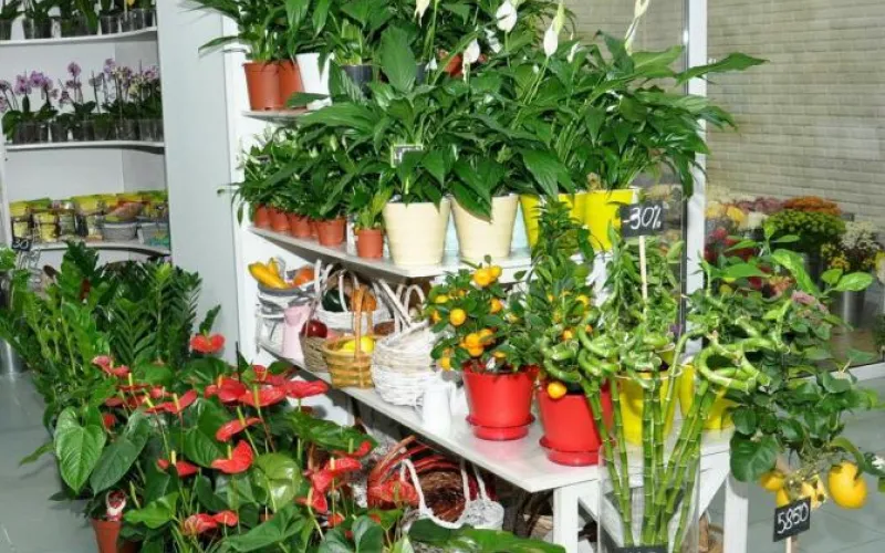 Новый цветочный магазин открылся в Барнауле 