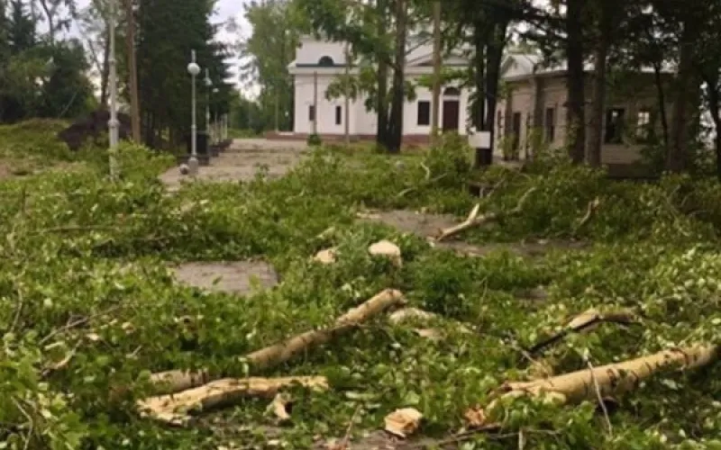 Нагорный парк в Барнауле пострадал от шторма