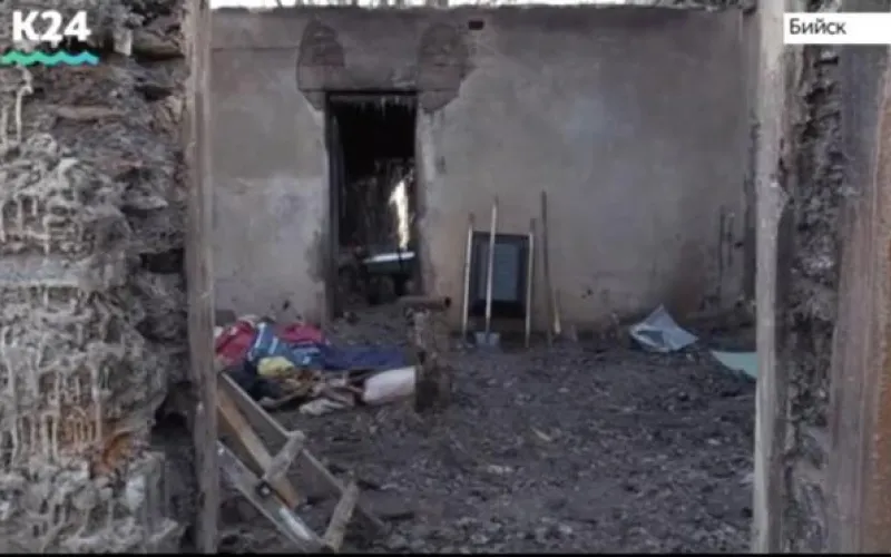 Рассказываем, как восстанавливают сгоревший бийский приют для животных «Преданность»