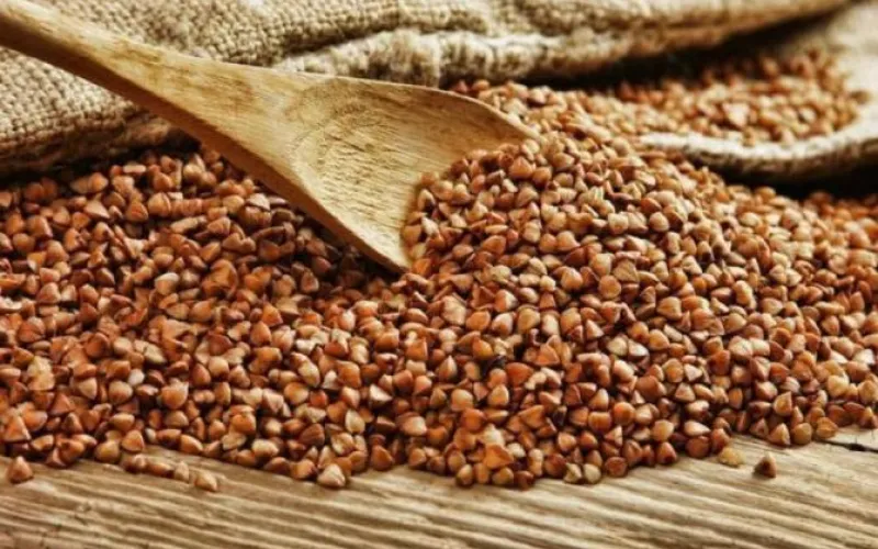 Алтайскую гречку по достоинству оценили в Японии