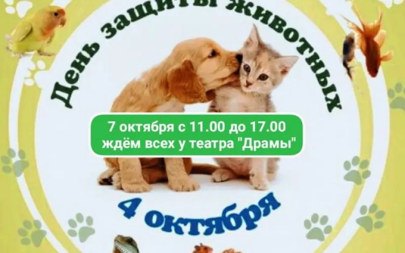 Приют «Ласка» приглашает барнаульцев отметить Международный день защиты животных