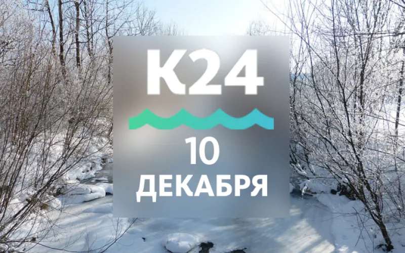 Планы на день: взглянуть на малых обезьян и посмотреть новый выпуск «Утреннего канала»