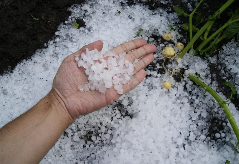 Сильный дождь и град: о погоде в Алтайском крае 10 июня