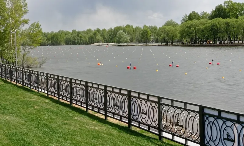 Соревнования по плаванию на открытой воде пройдут в Барнауле