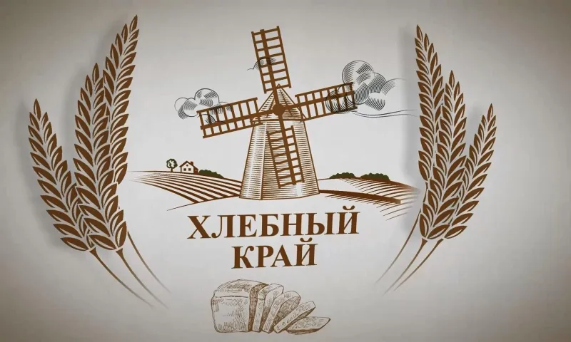 «Хлебный край»: о разработке алтайскими учёными методов повышения продуктивности коров