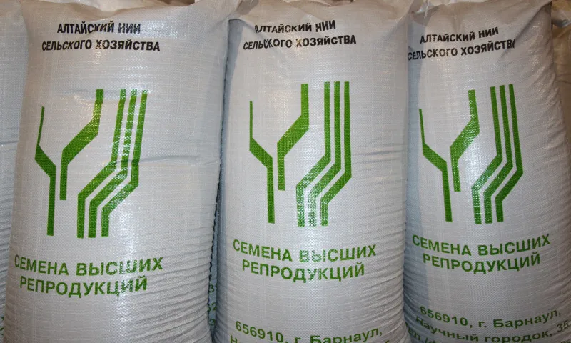 Алтайские аграрии подготовили к реализации более 31 тысячи тонн семян сельхозкультур
