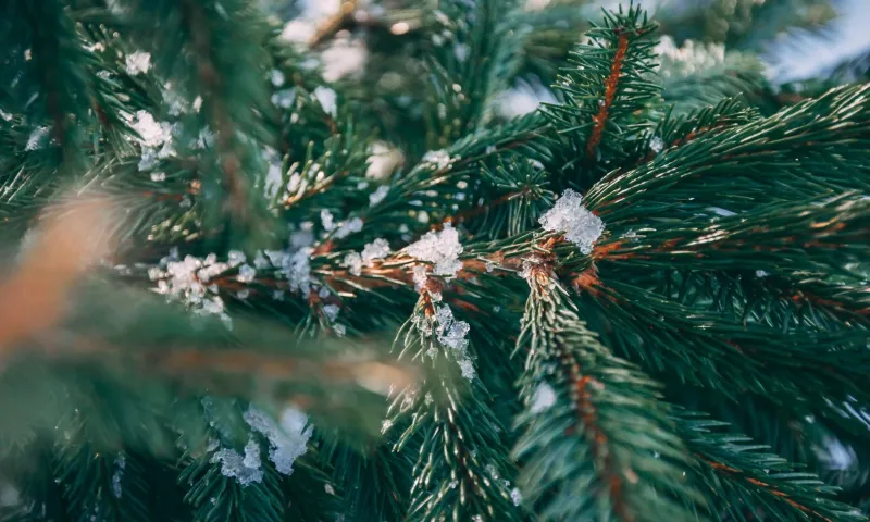 Сретение Господне: традиции и приметы на 15 февраля