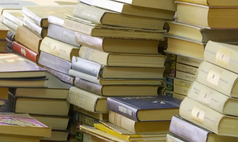 1,5 миллиона рублей направят из бюджета Алтайского края на выпуск книг местных авторов