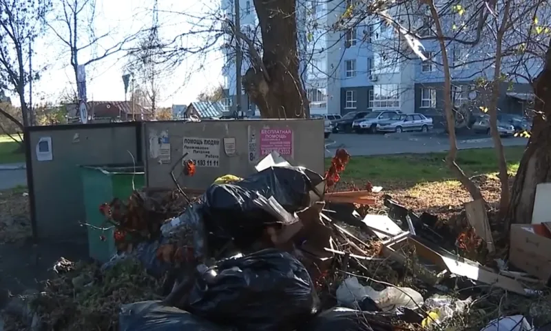 В социальных сетях участились жалобы на переполненные мусорные площадки в Барнауле