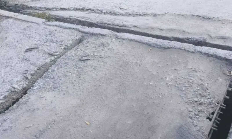 Реконструкцией аварийного моста через Барнаулку в поселке Кирова власти могут заняться в следующем году