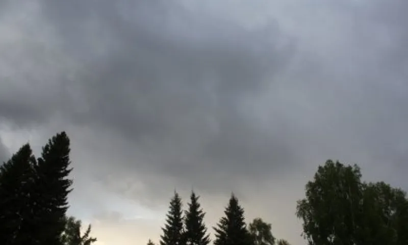 Град и сильный ветер: о погоде в Алтайском крае 1 июня 