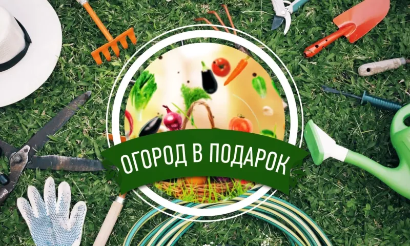 «Огород в подарок»: что взять с собой в баню?