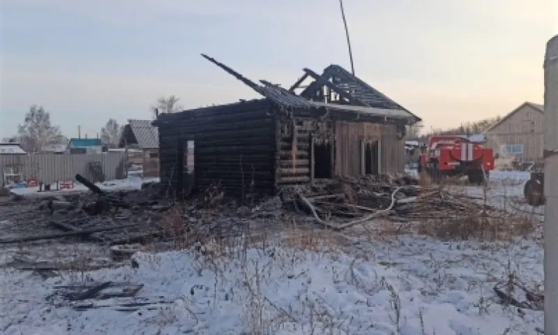 Мужчина и его 4-летний сын погибли в результате пожара в Алтайском крае