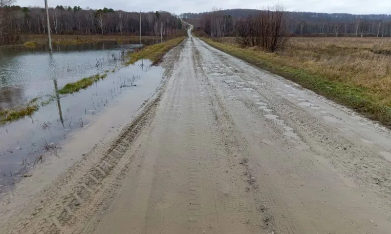 Бобры оставили без электричества два новосибирских села
