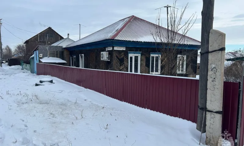 Пожарные спасли кота из горящего дома в Алтайском крае