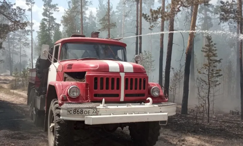 31 план тушения лесных пожаров утвердили в Алтайском крае