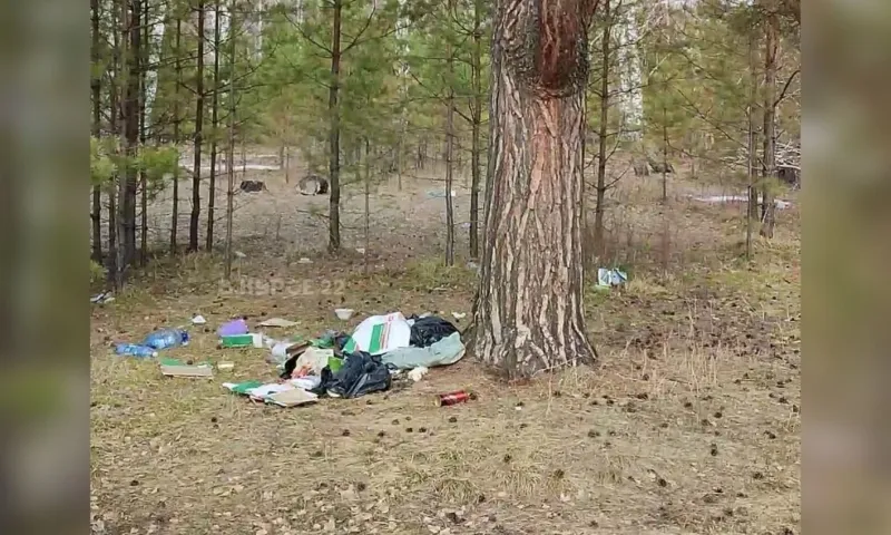 Пожар едва не произошел из-за отдыхающих в лесу Алтайского края