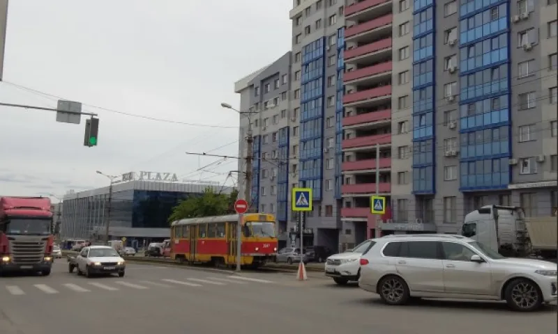 Введённый из-за бешенства карантин сняли в барнаульской многоэтажке