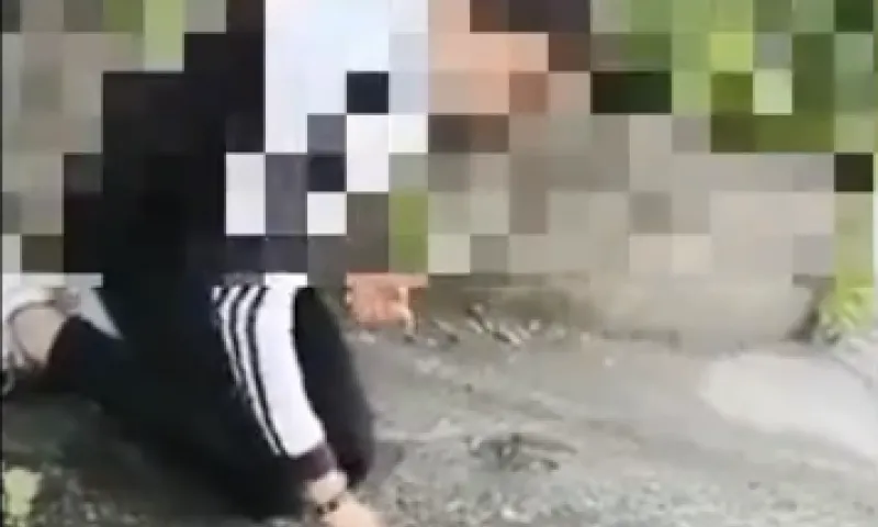 Следком: бийскую школьницу заставили пить из лужи