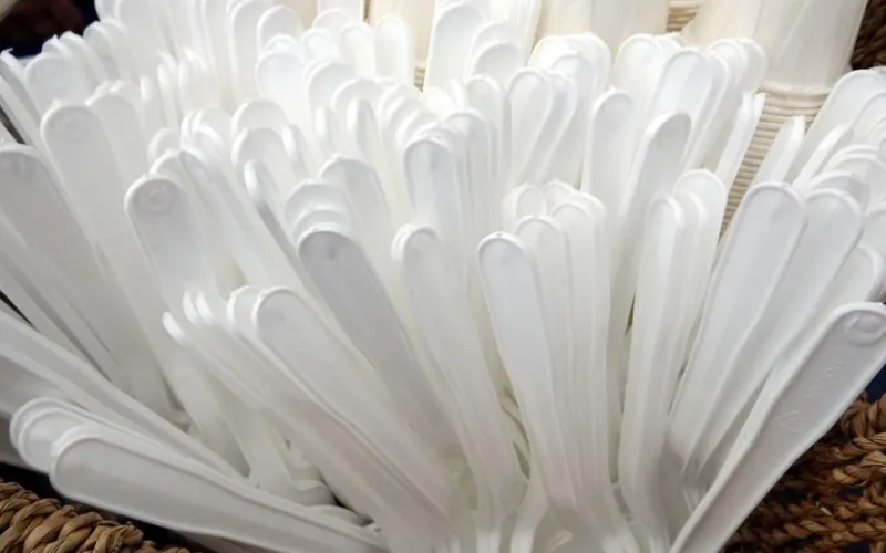 Минпромторг прокомментировал возможный запрет на пластиковую посуду и пакеты в России