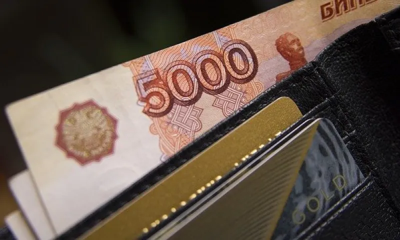 Жители Алтайского края оплатили покупки с банковских карт на 213 млрд рублей