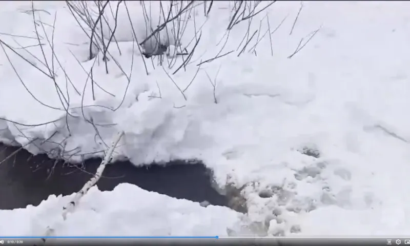В Барнауле в реке утонул ребенок