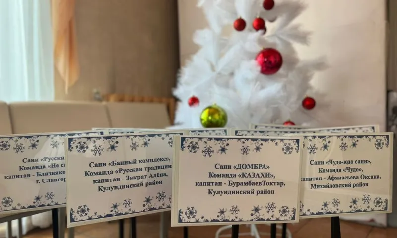В Кулундинском районе проходит фестиваль креативных санок «Сани.ДРАЙВ»