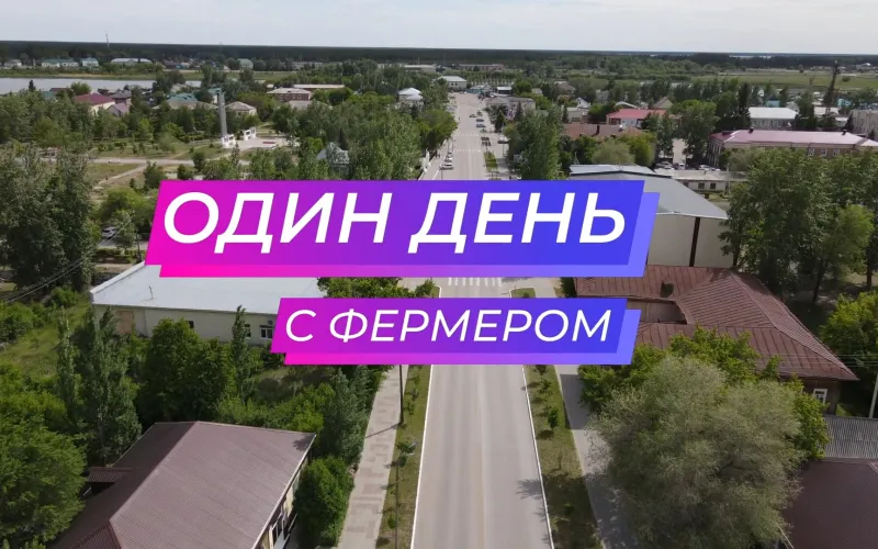 Почему современная техника не решает проблему нехватки кадров на алтайских полях. «Один день...» с фермером