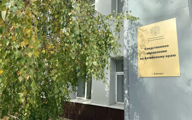 По факту смерти мальчика в Казённой Заимке возбудили уголовное дело