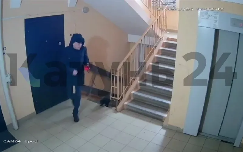 Неизвестный привязал собаку к лифту в Новоалтайске и скрылся